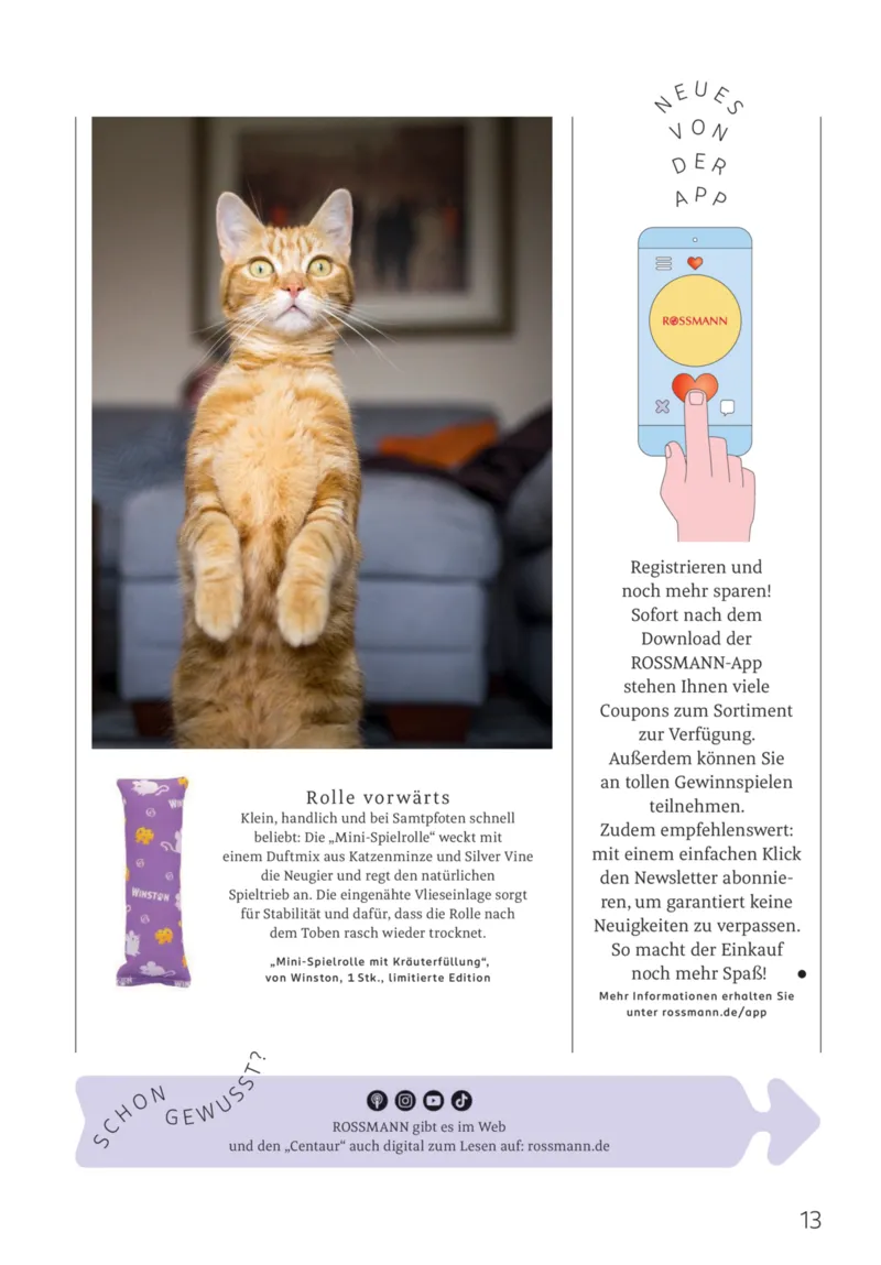ROSSMANN Prospekt vom 01.03.2026, Seite 13