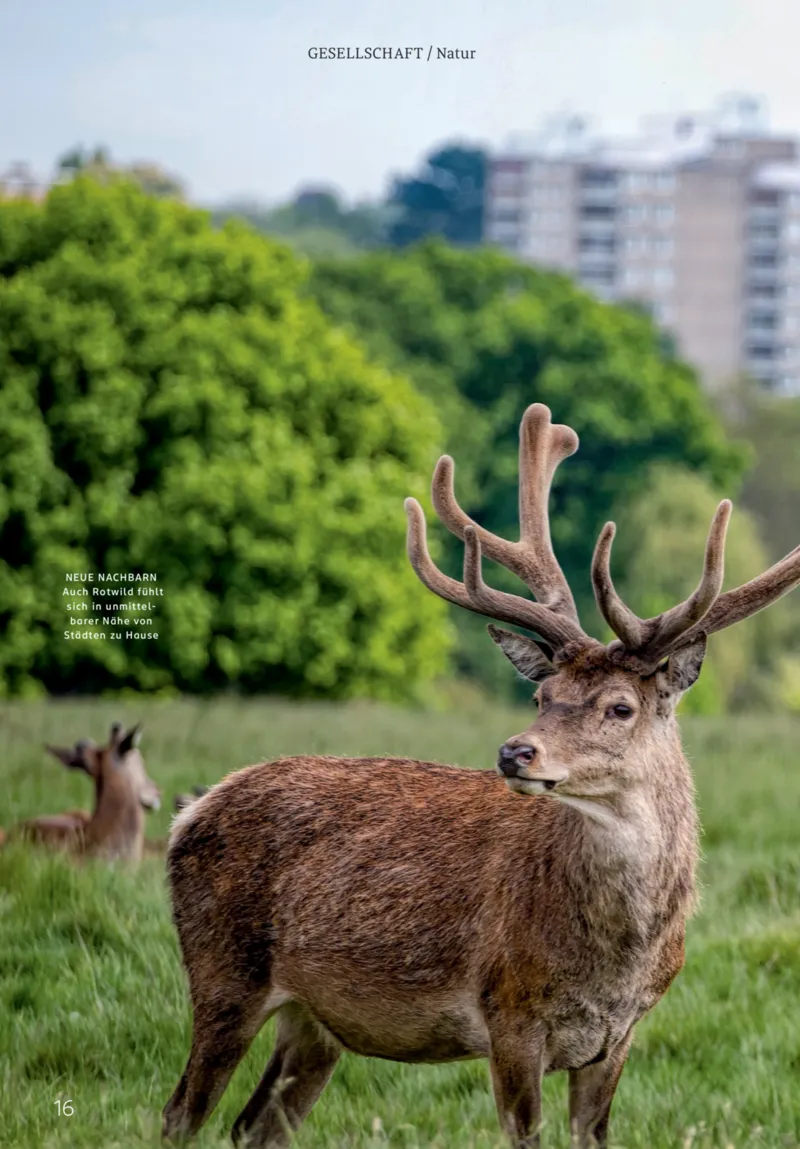 ROSSMANN Prospekt vom 01.03.2026, Seite 16