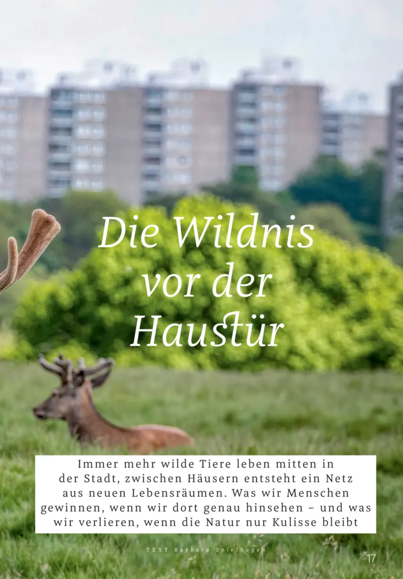 ROSSMANN Prospekt vom 01.03.2026, Seite 17