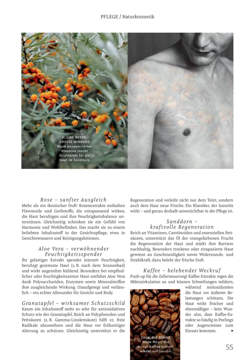 ROSSMANN Prospekt vom 01.03.2026, Seite 55