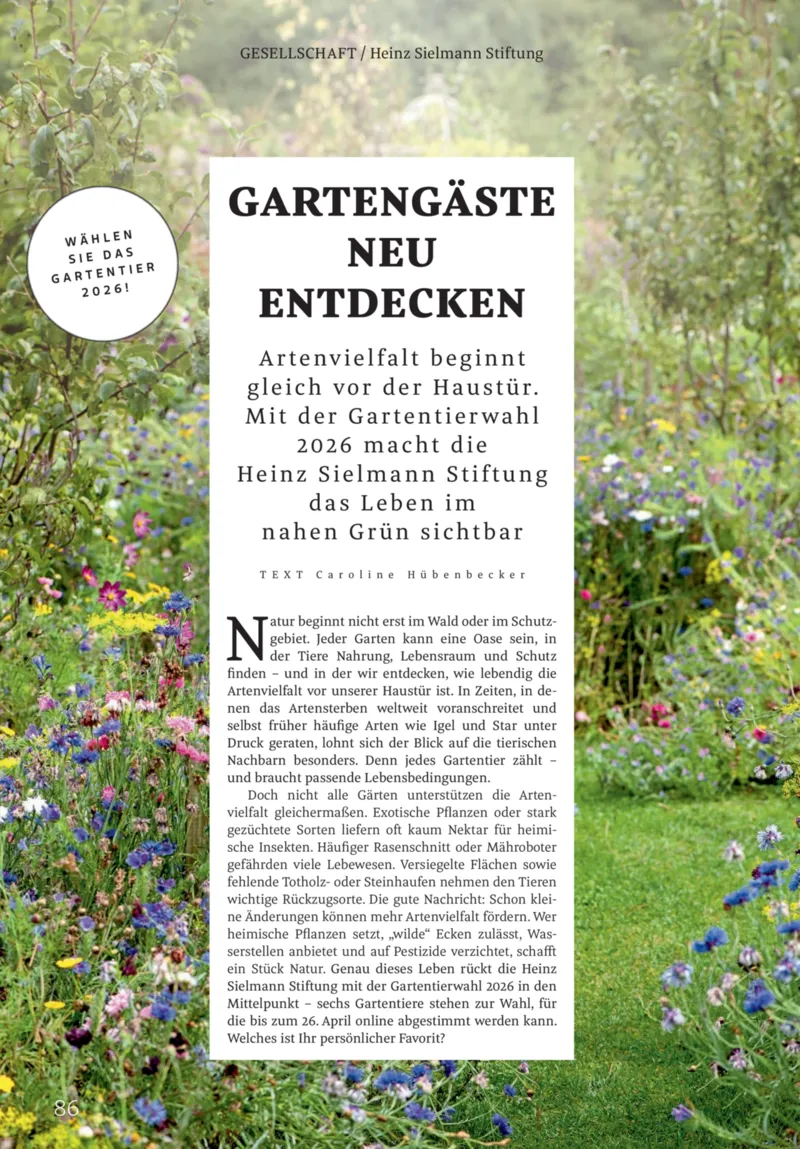 ROSSMANN Prospekt vom 01.03.2026, Seite 86