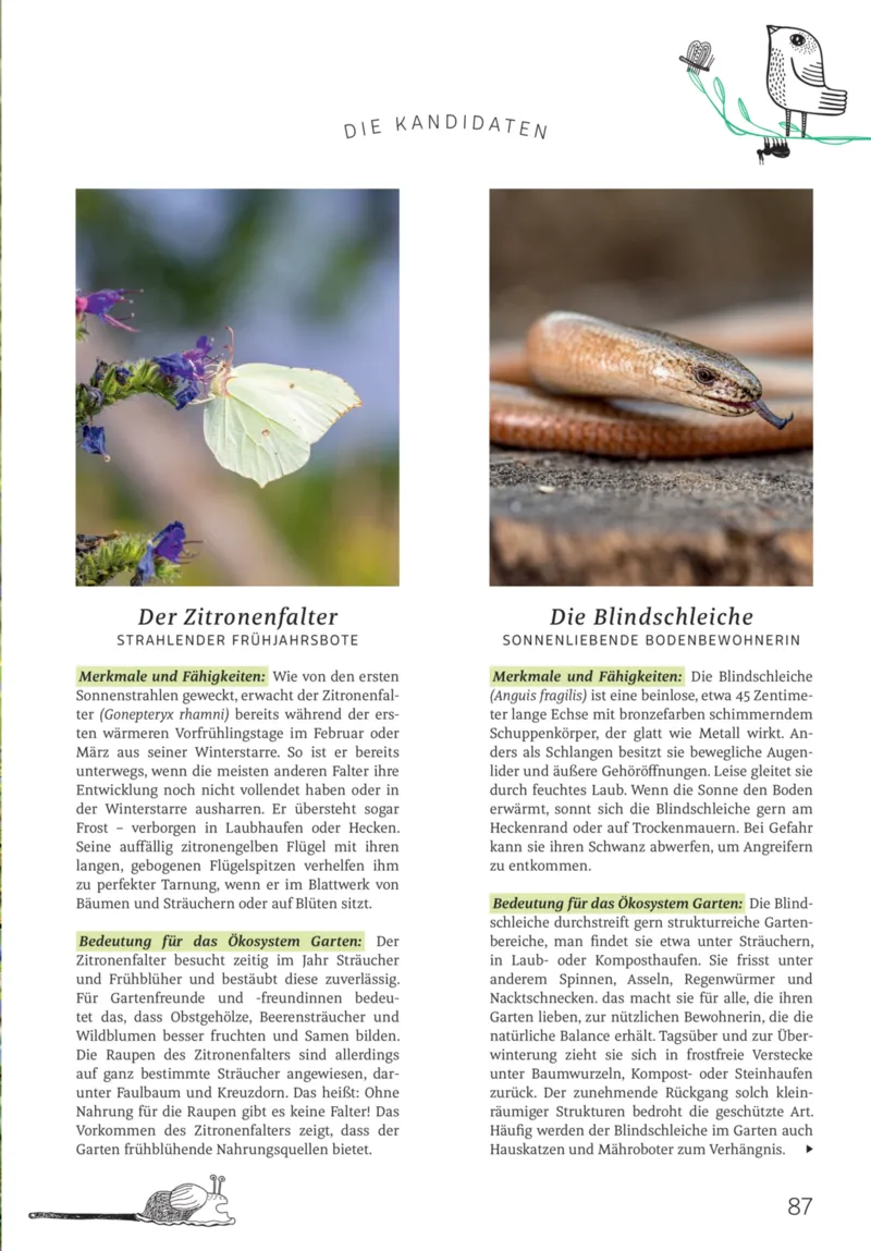 ROSSMANN Prospekt vom 01.03.2026, Seite 87