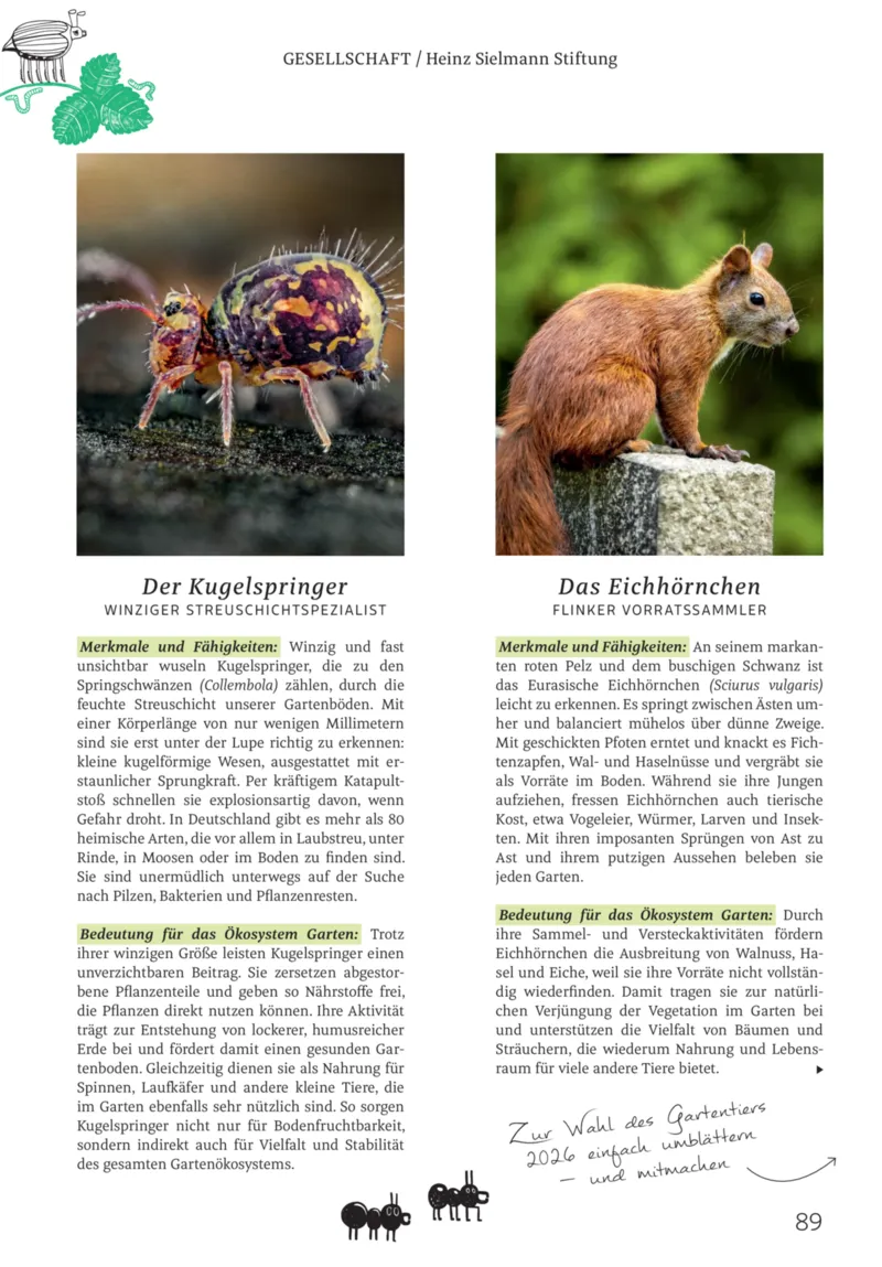 ROSSMANN Prospekt vom 01.03.2026, Seite 89