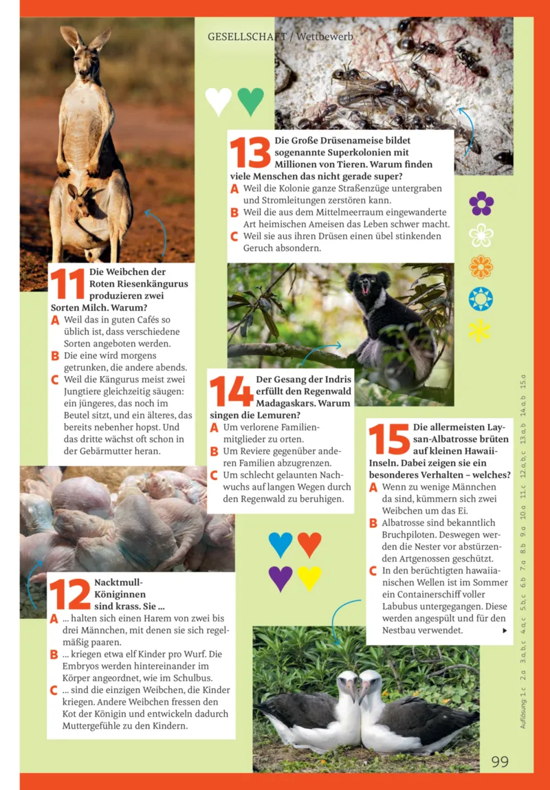 ROSSMANN Prospekt vom 01.04.2026, Seite 99