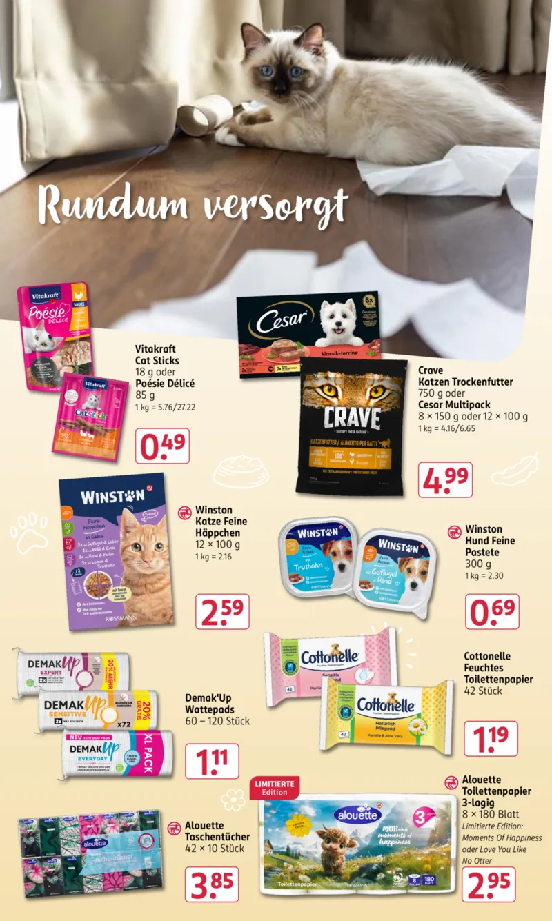 ROSSMANN Prospekt vom 01.06.2026, Seite 17