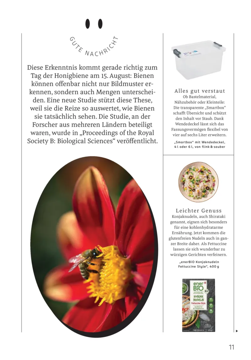 ROSSMANN Prospekt vom 01.08.2026, Seite 11