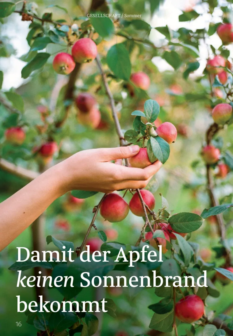 ROSSMANN Prospekt vom 01.08.2026, Seite 16