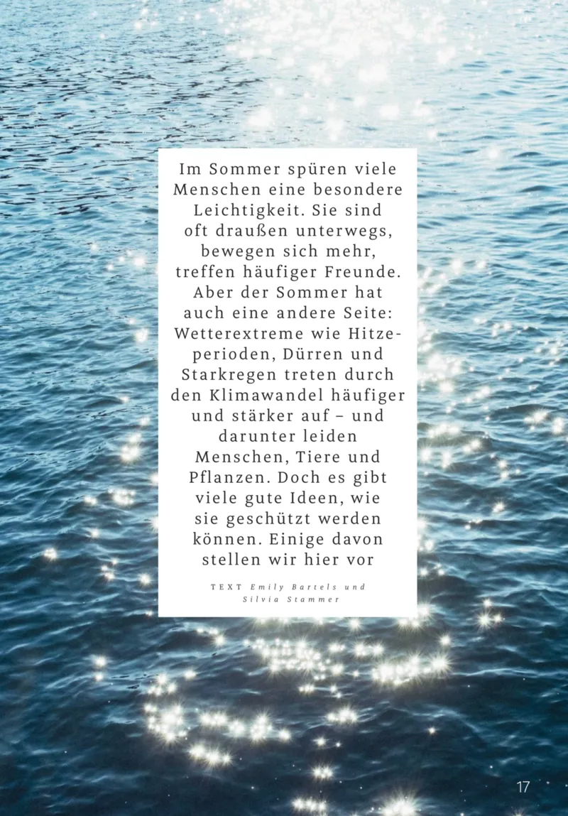 ROSSMANN Prospekt vom 01.08.2026, Seite 17