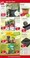 Sonderpreis Baumarkt Prospekt vom 30.08.2025