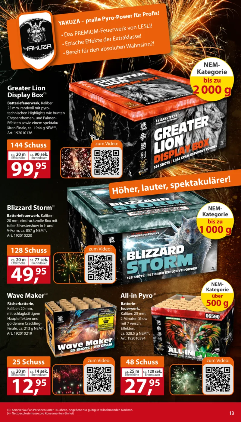 Sonderpreis Baumarkt Prospekt vom 27.12.2025, Seite 13