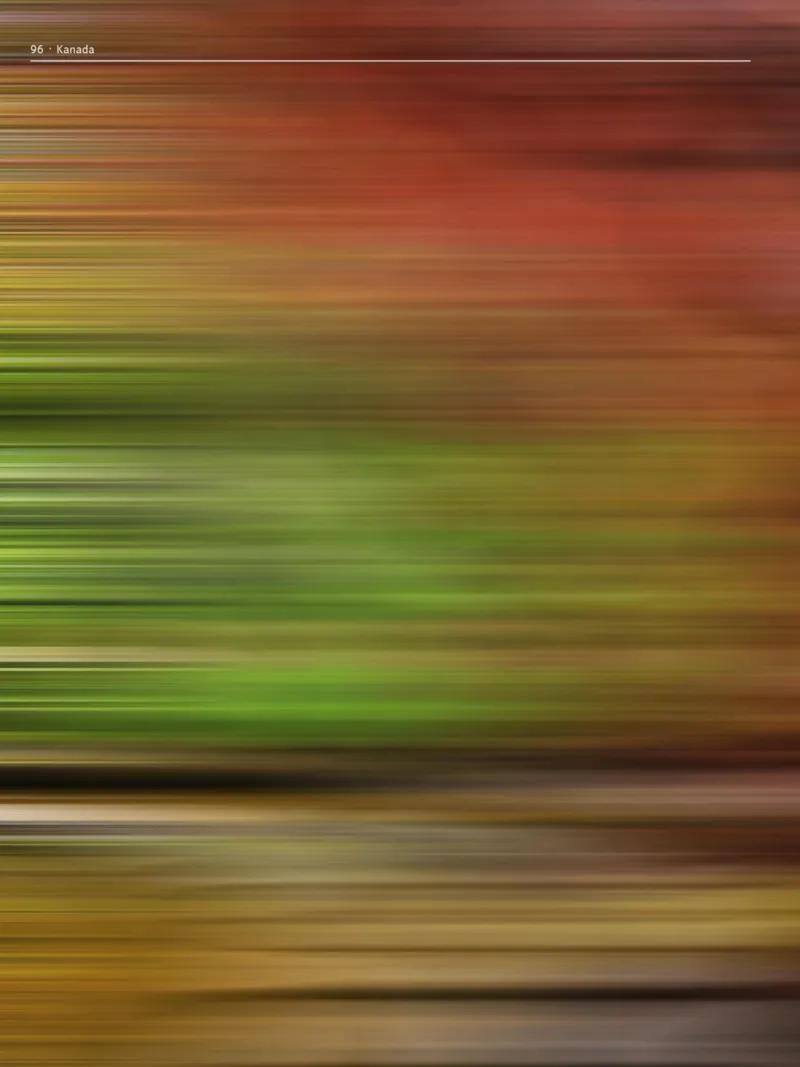 TUI Prospekt vom 01.11.2024, Seite 96