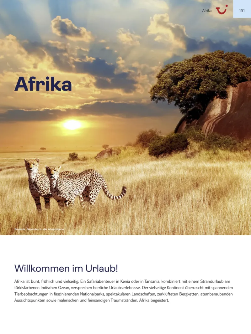 TUI Prospekt vom 13.09.2025, Seite 151