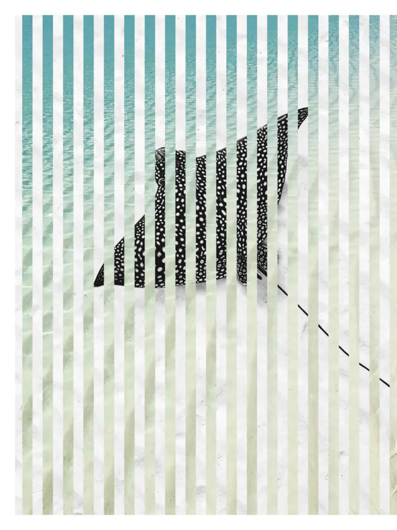 TUI Prospekt vom 01.11.2025, Seite 8