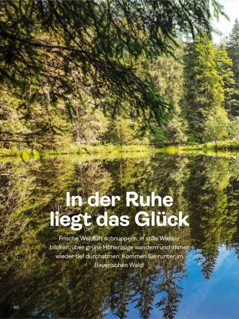 TUI Prospekt vom 30.06.2026, Seite 60