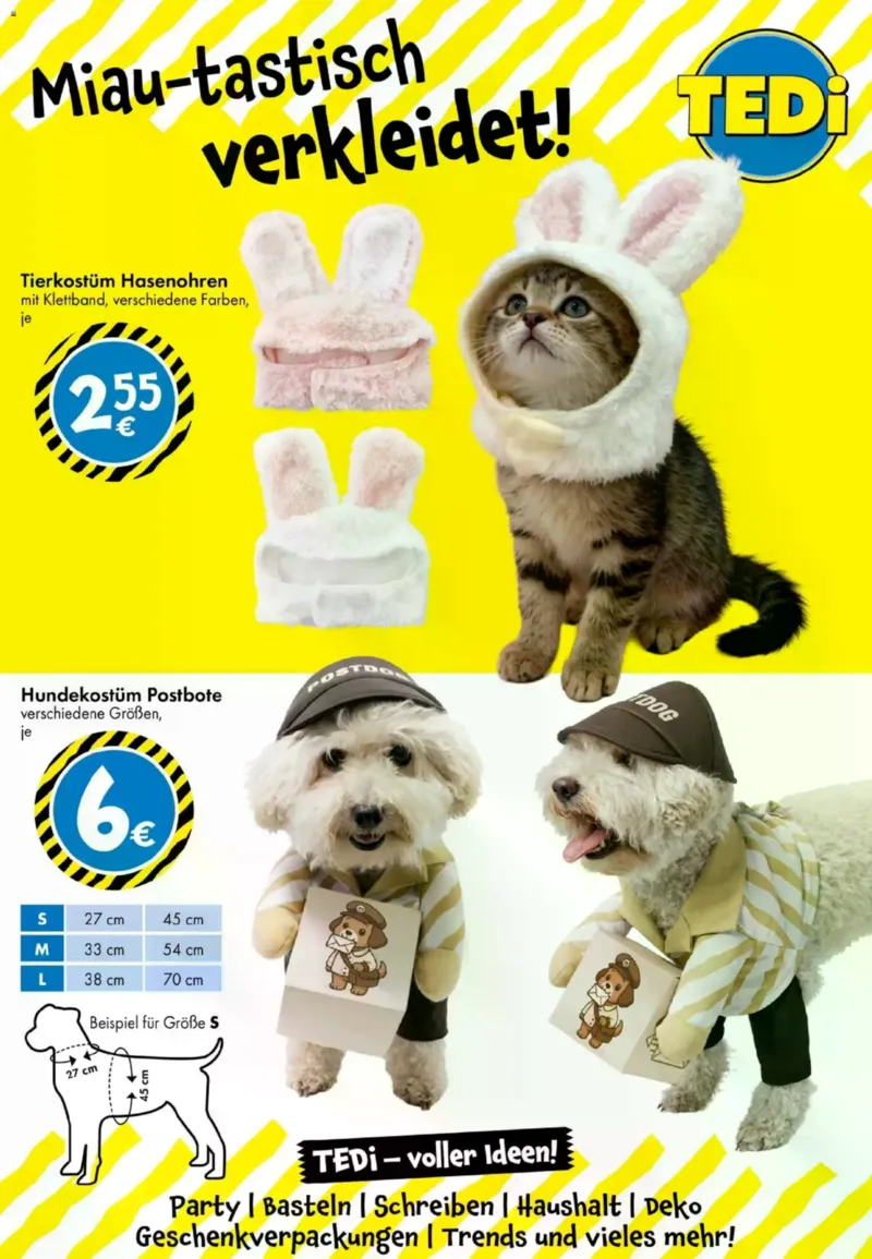 TEDi Prospekt vom 30.01.2026, Seite 7