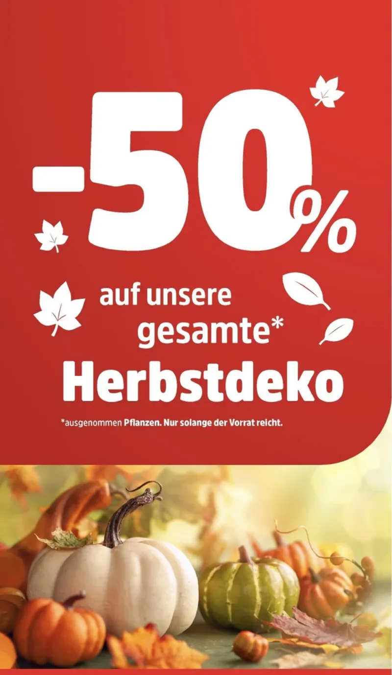 Thomas Philipps Prospekt vom 03.11.2025, Seite 2