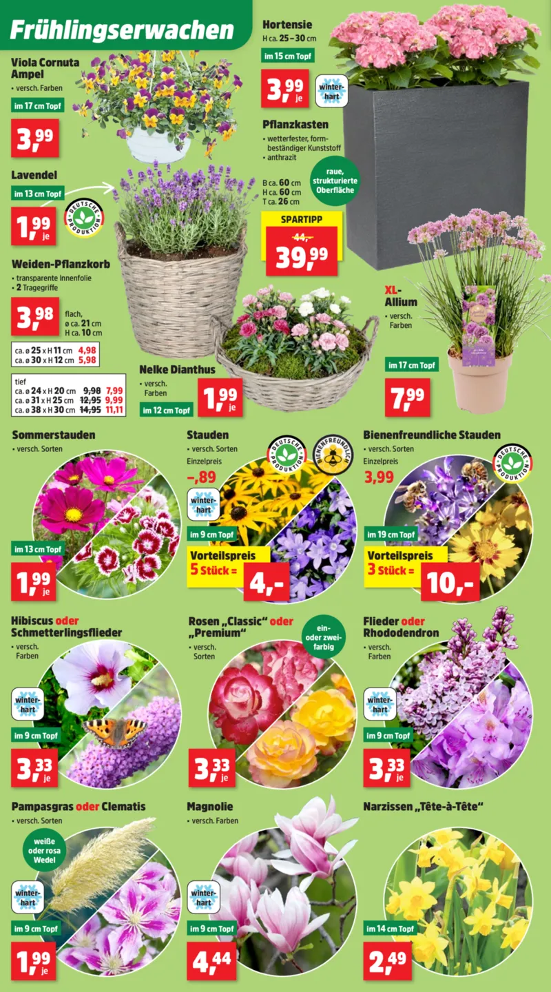 Thomas Philipps Prospekt vom 23.03.2026, Seite 4