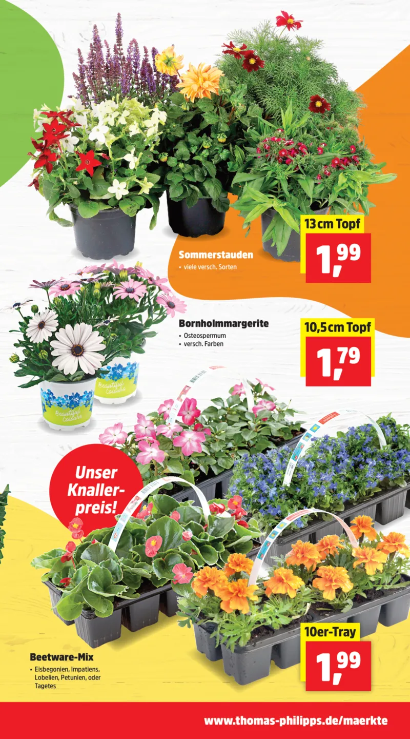 Thomas Philipps Prospekt vom 20.04.2026, Seite 3