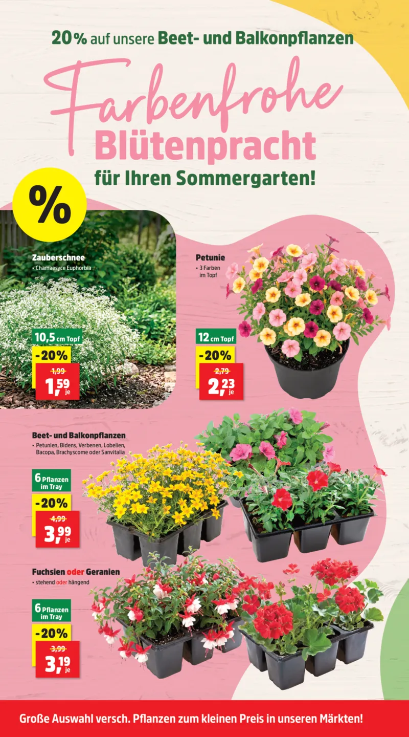 Thomas Philipps Prospekt vom 08.06.2026, Seite 6
