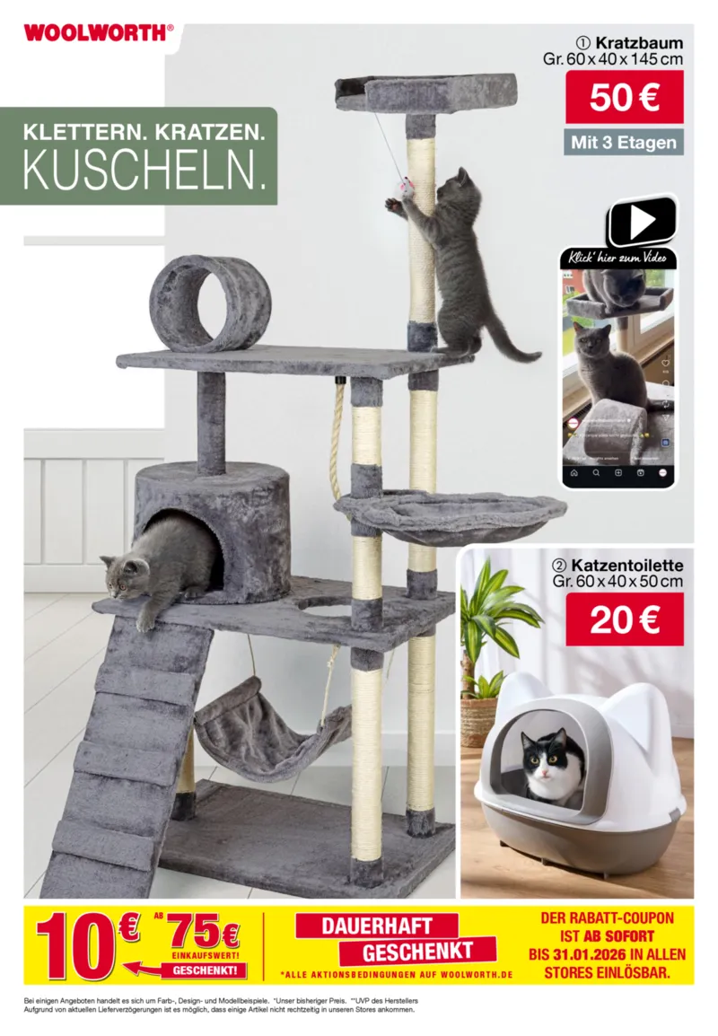 Woolworth Prospekt vom 05.12.2025, Seite 13