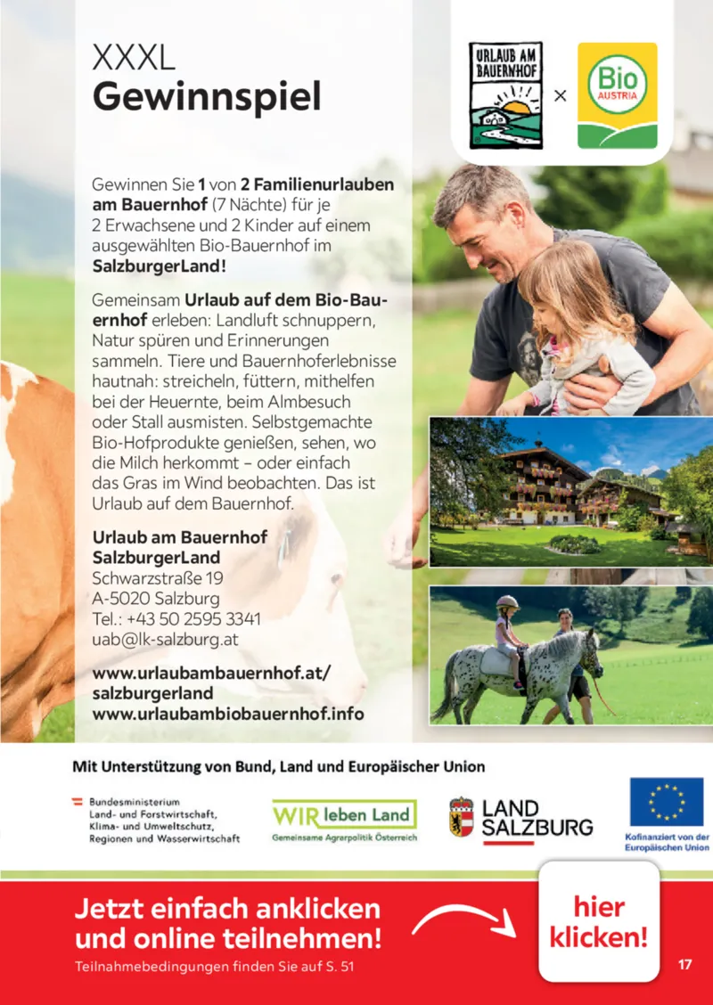 XXXLutz Prospekt vom 01.08.2026, Seite 17