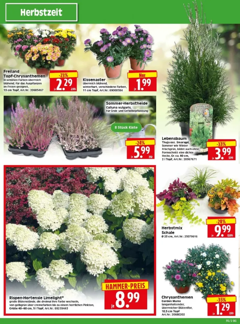 Herkules Baumarkt Prospekt vom 25.08.2025, Seite 2