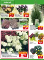 Herkules Baumarkt Prospekt vom 25.08.2025