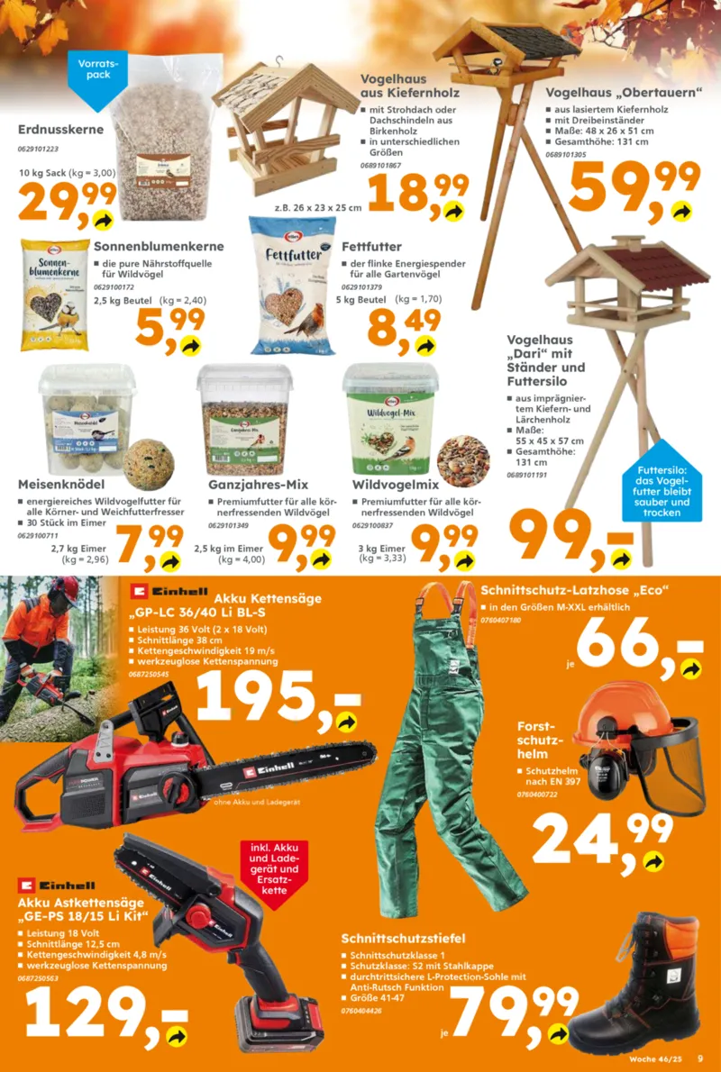 Globus Baumarkt Prospekt vom 10.11.2025, Seite 9