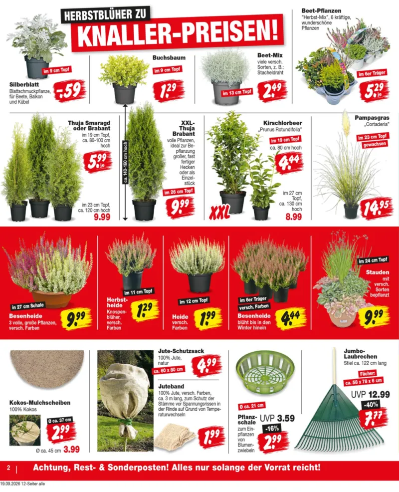 REPO-Markt Prospekt vom 21.09.2026, Seite 2