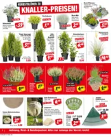 REPO-Markt Prospekt vom 21.09.2026