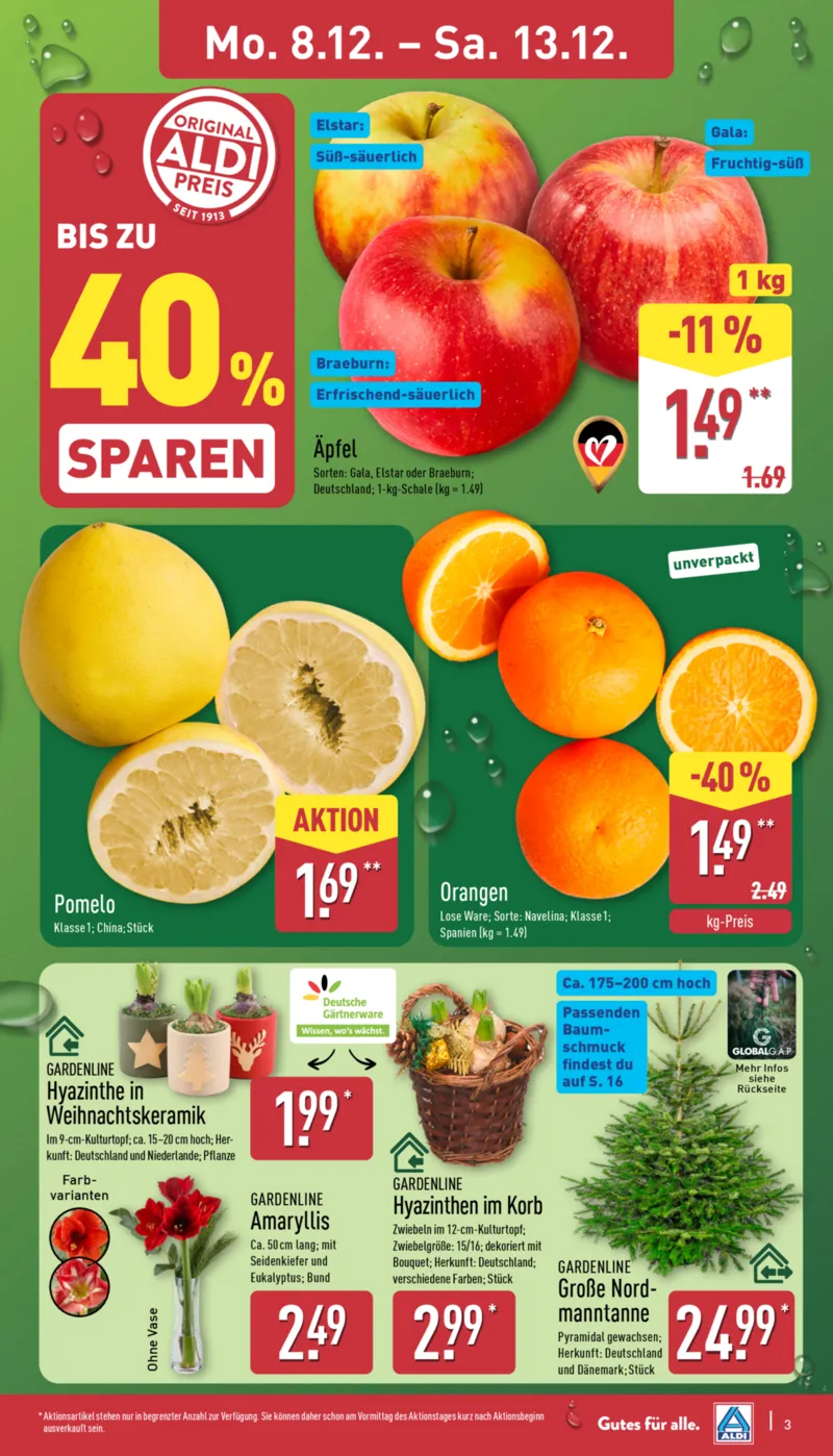 ALDI Nord Prospekt vom 08.12.2025, Seite 3