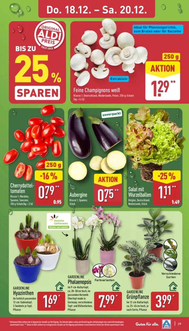 ALDI Nord Prospekt vom 15.12.2025, Seite 30