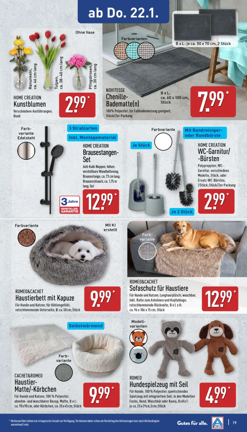 ALDI Nord Prospekt vom 19.01.2026, Seite 19