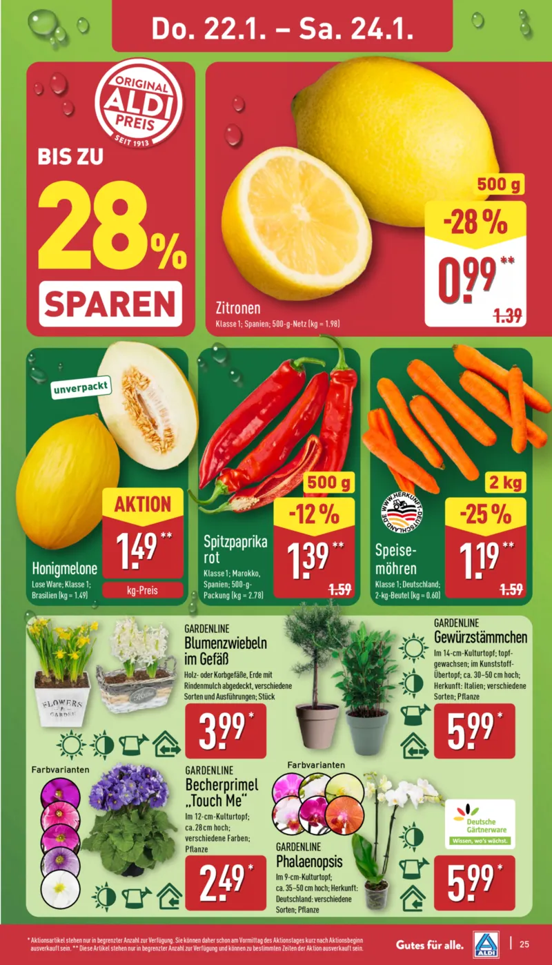 ALDI Nord Prospekt vom 19.01.2026, Seite 25
