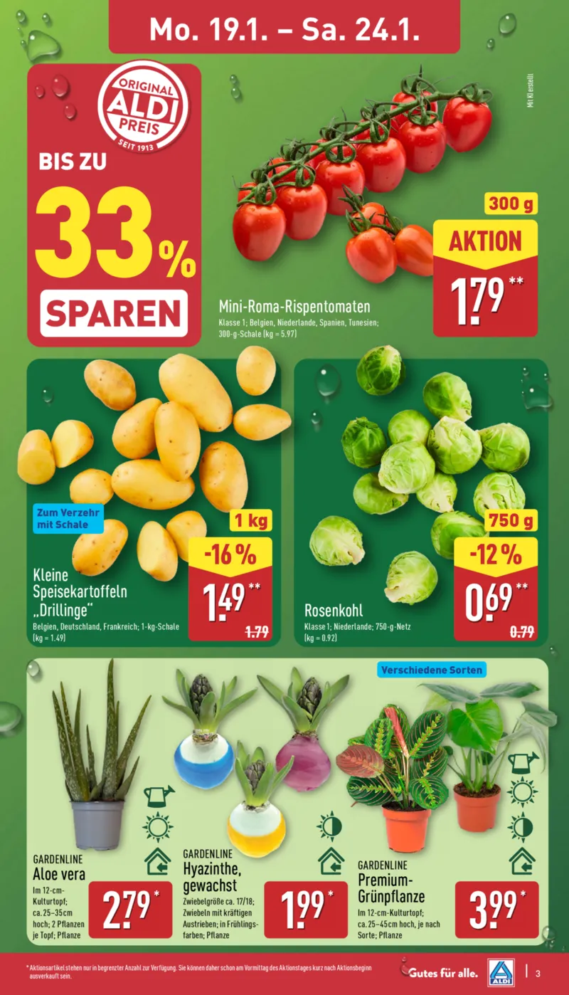 ALDI Nord Prospekt vom 19.01.2026, Seite 3