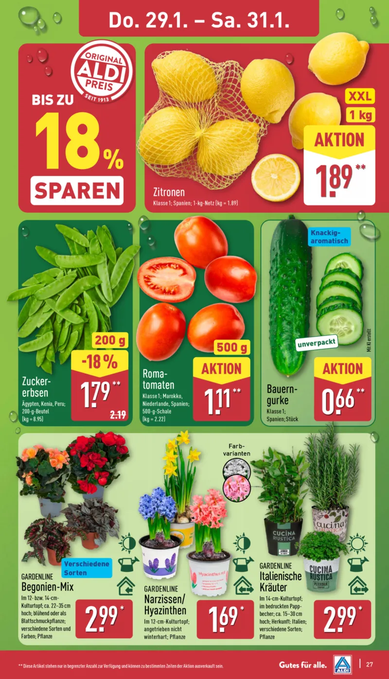 ALDI Nord Prospekt vom 26.01.2026, Seite 29