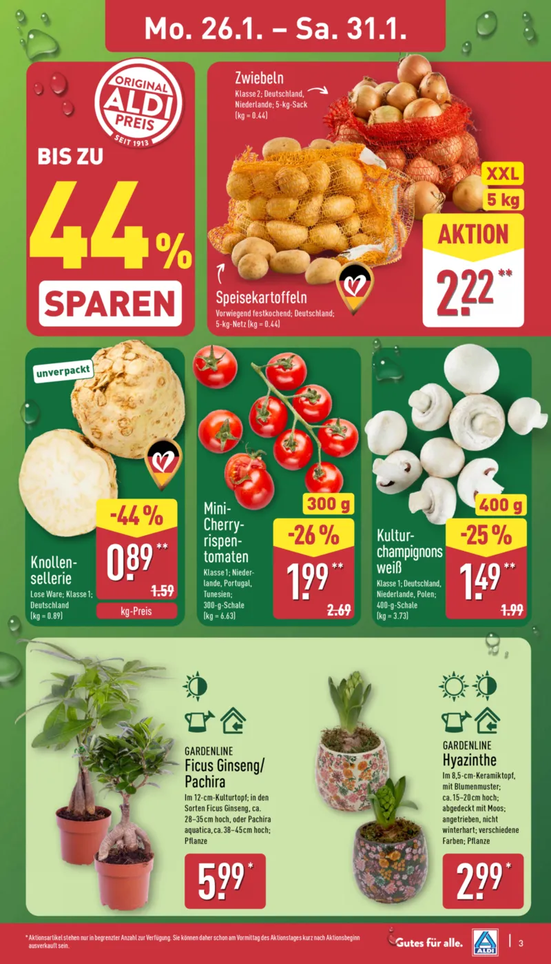 ALDI Nord Prospekt vom 26.01.2026, Seite 3