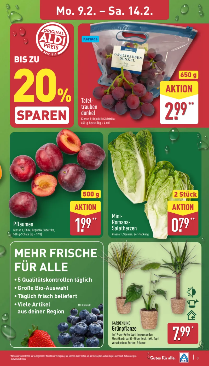 ALDI Nord Prospekt vom 09.02.2026, Seite 3