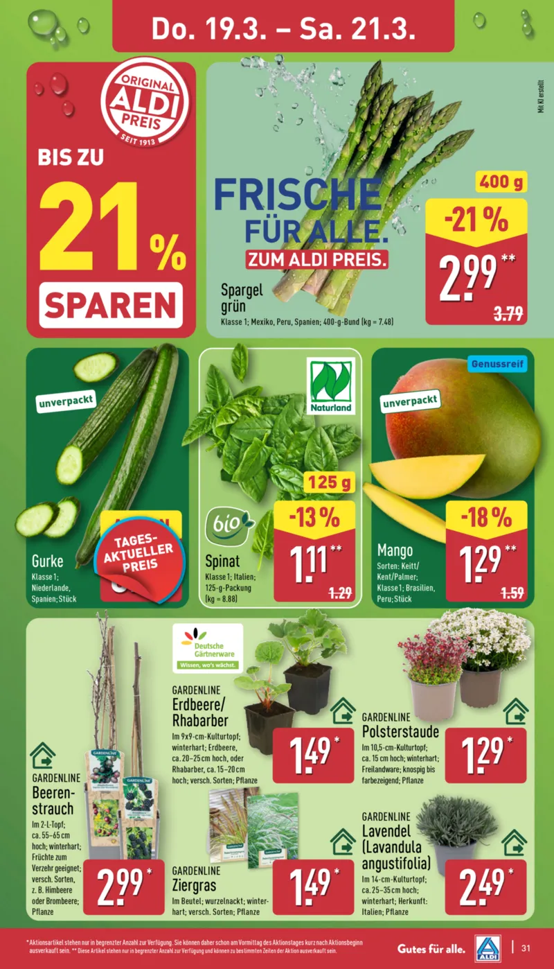 ALDI Nord Prospekt vom 16.03.2026, Seite 31