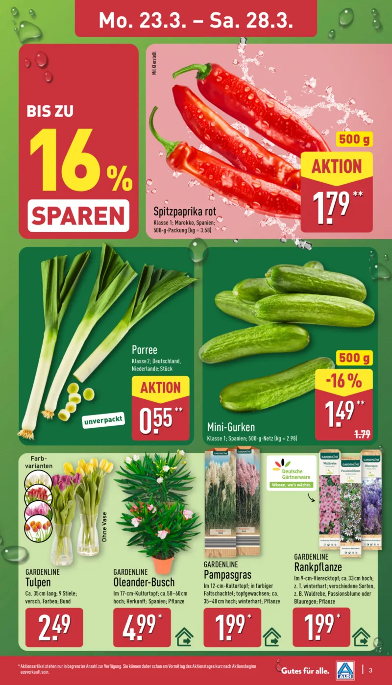 ALDI Nord Prospekt vom 23.03.2026, Seite 7