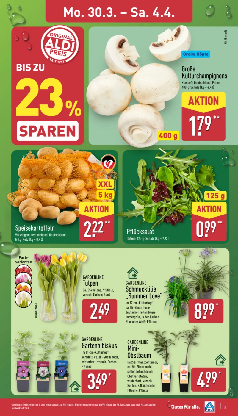 ALDI Nord Prospekt vom 30.03.2026, Seite 3