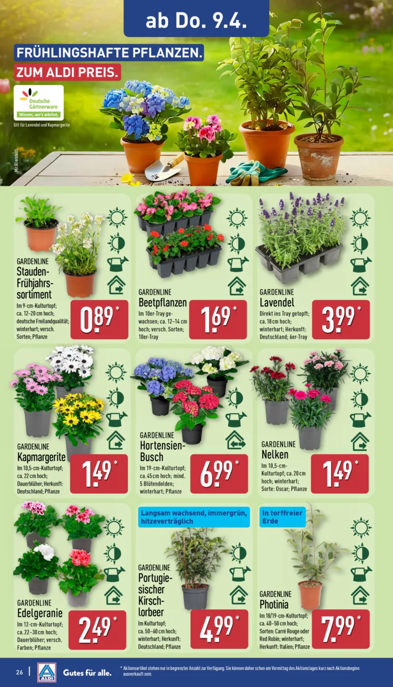ALDI Nord Prospekt vom 07.04.2026, Seite 26