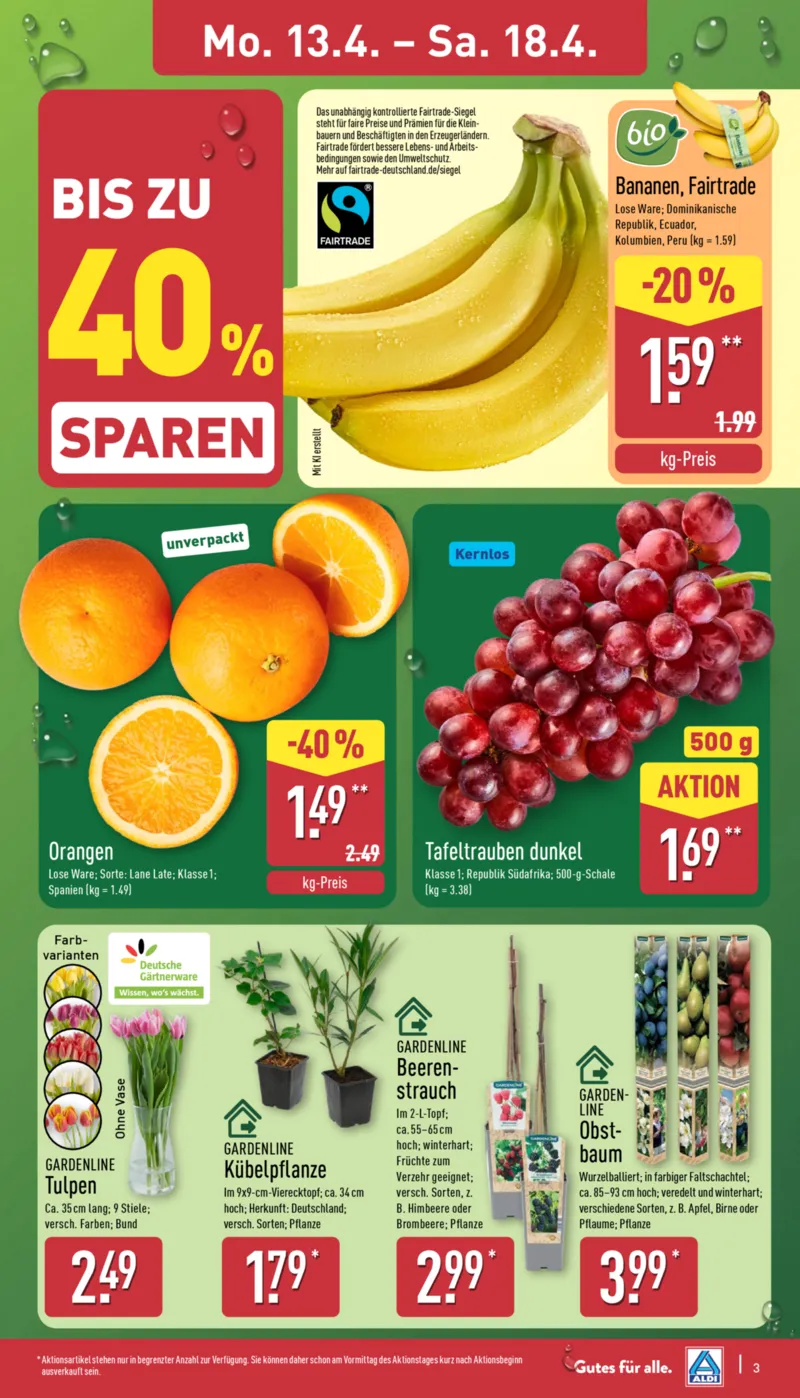 ALDI Nord Prospekt vom 13.04.2026, Seite 7