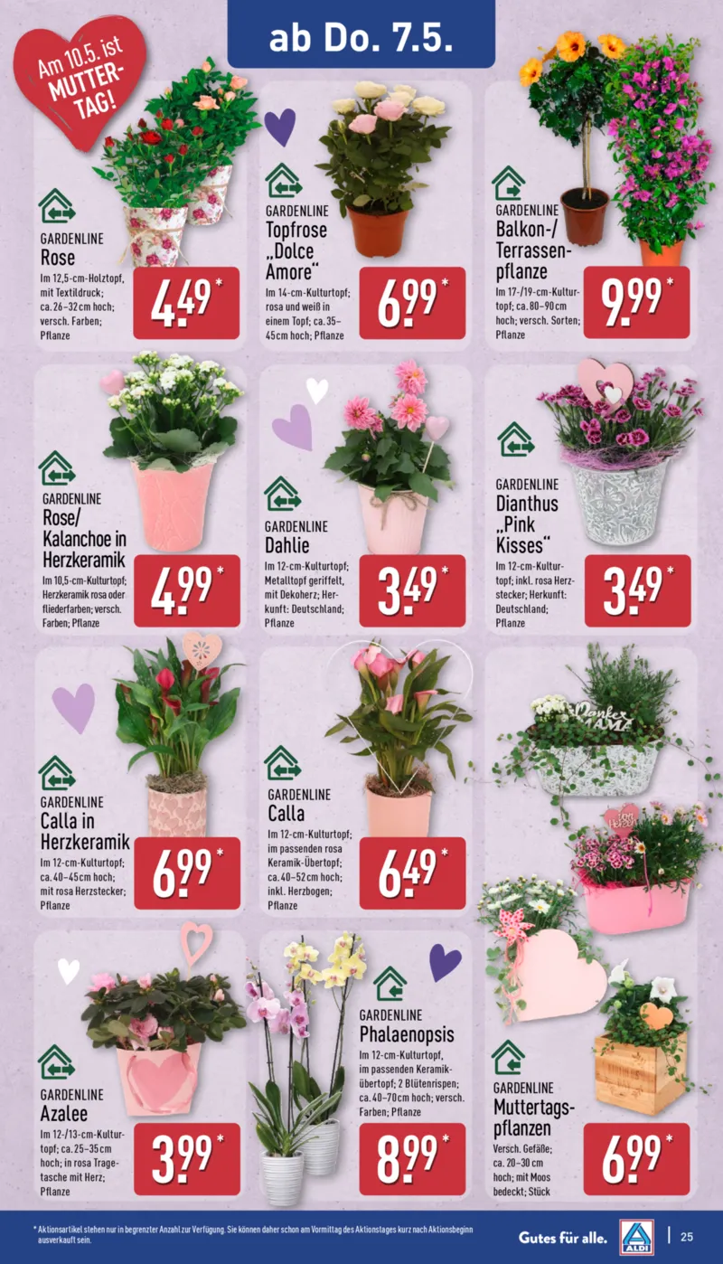 ALDI Nord Prospekt vom 04.05.2026, Seite 25