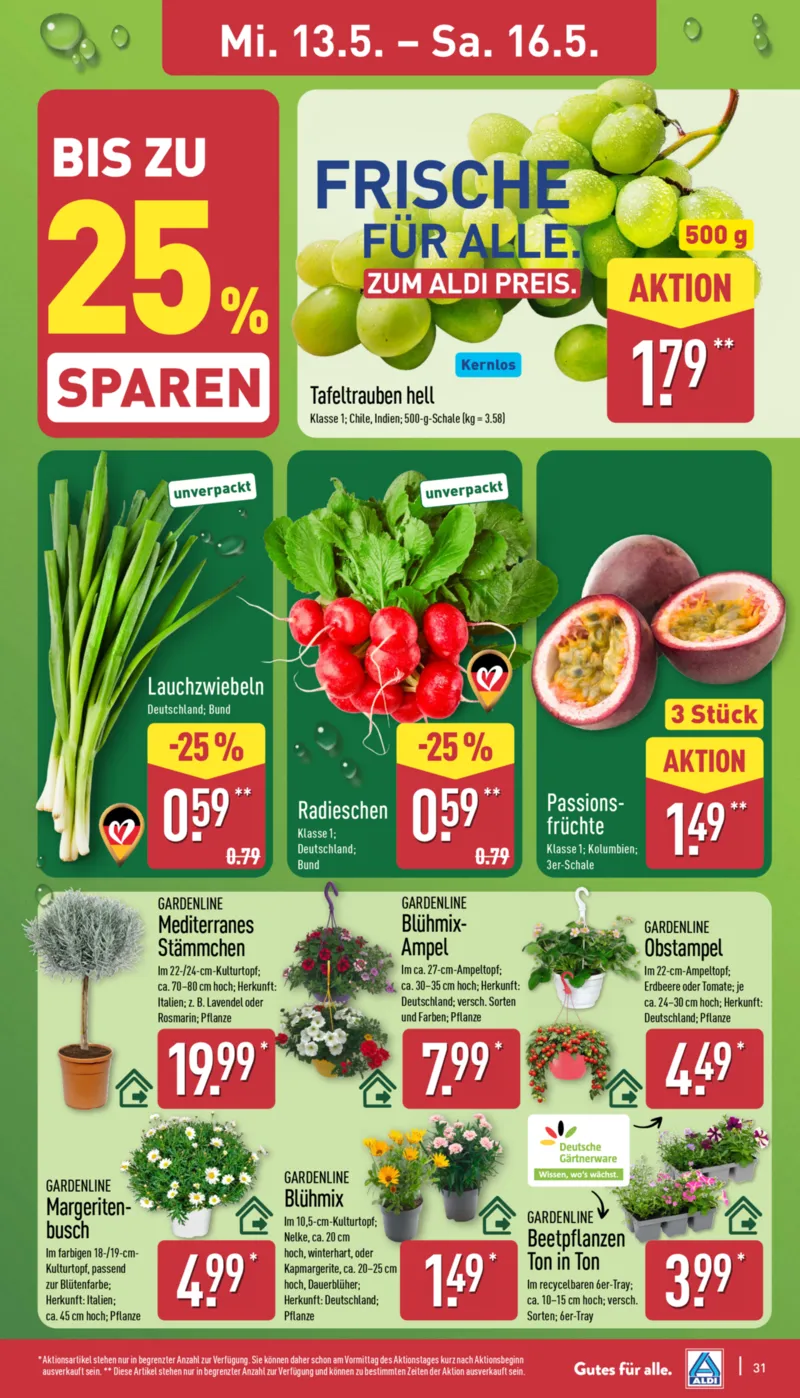 ALDI Nord Prospekt vom 11.05.2026, Seite 31