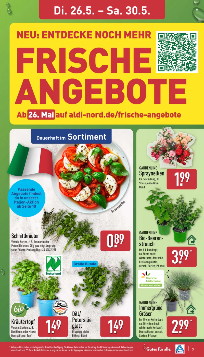 ALDI Nord Prospekt vom 26.05.2026, Seite 3