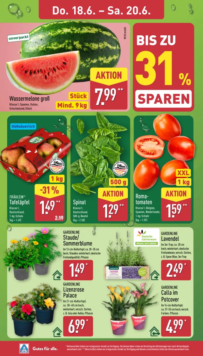 ALDI Nord Prospekt vom 15.06.2026, Seite 30