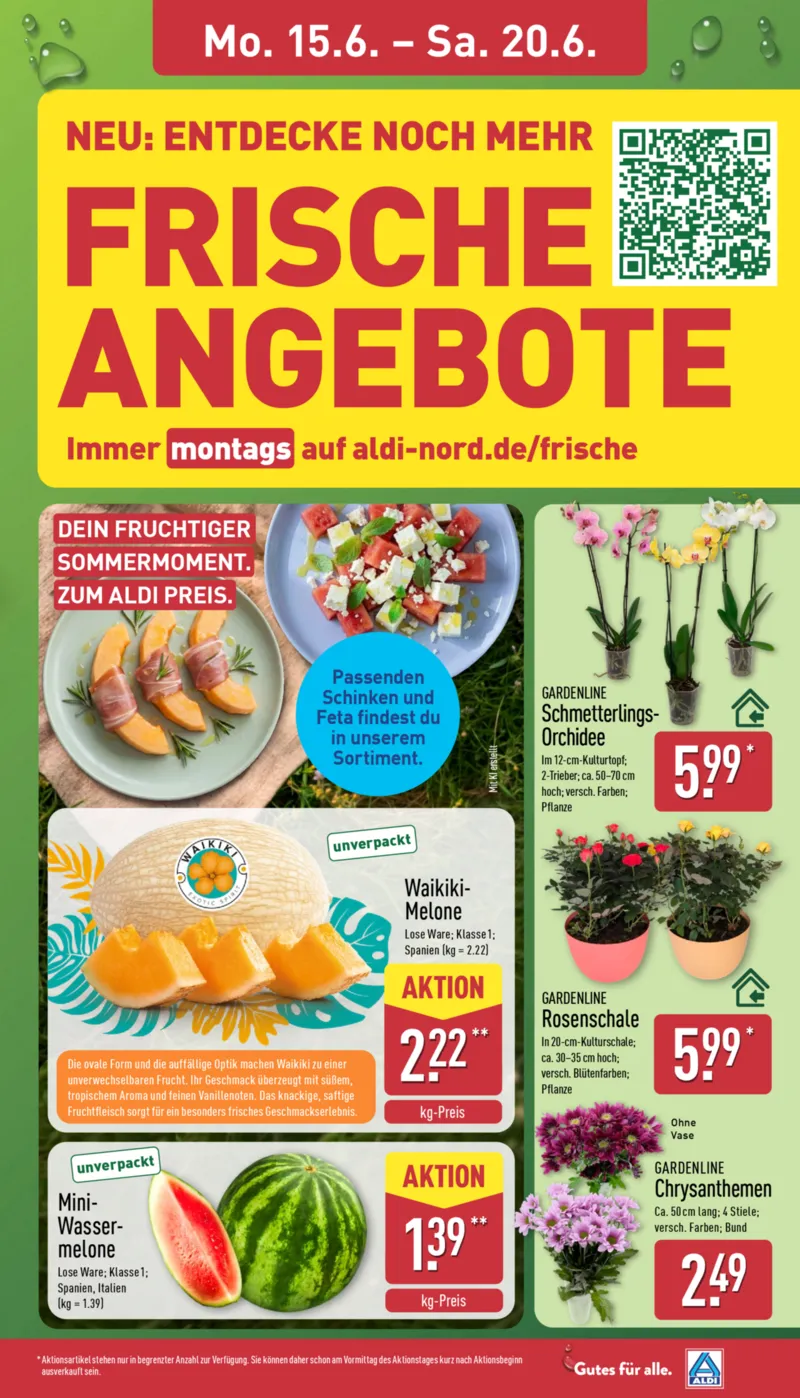 ALDI Nord Prospekt vom 15.06.2026, Seite 7