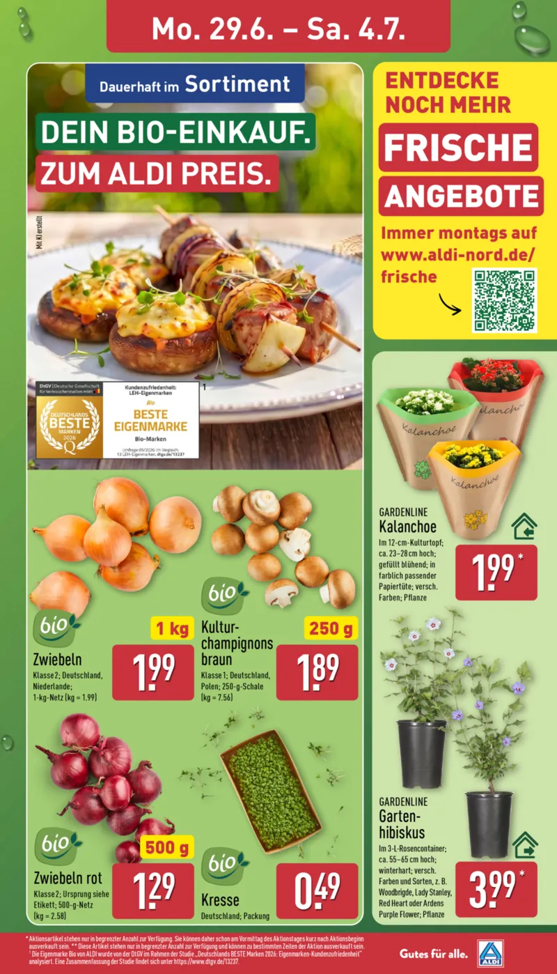 ALDI Nord Prospekt vom 22.06.2026, Seite 3
