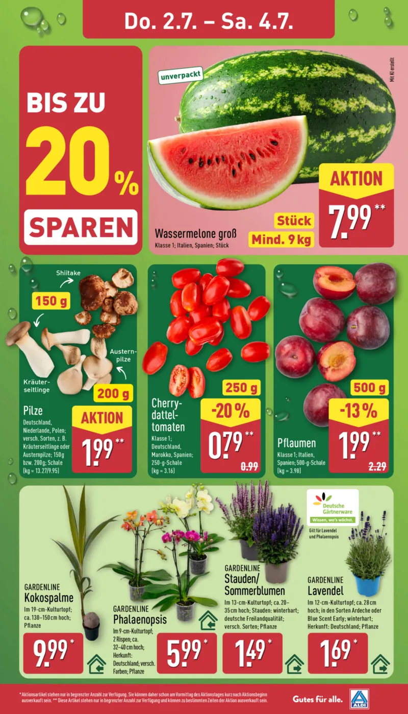 ALDI Nord Prospekt vom 22.06.2026, Seite 31